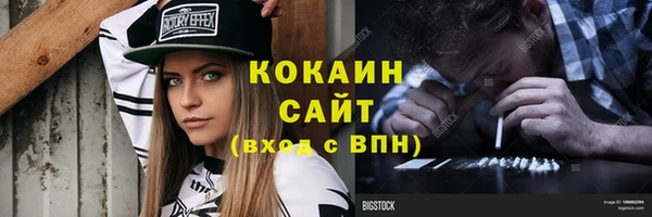 дмт Осинники