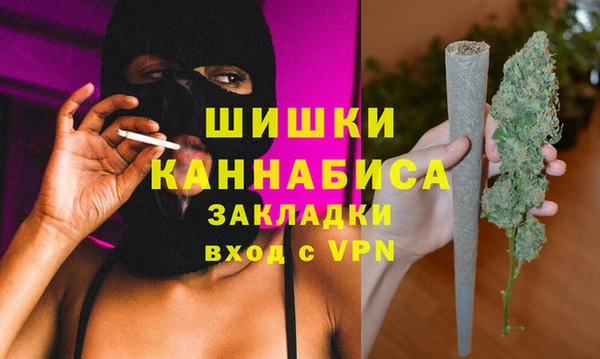 дмт Осинники
