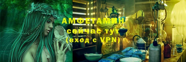 дмт Осинники
