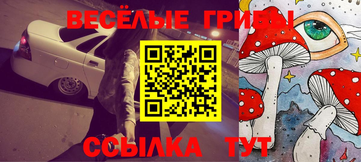 Галлюциногенные грибы Psilocybe Североуральск