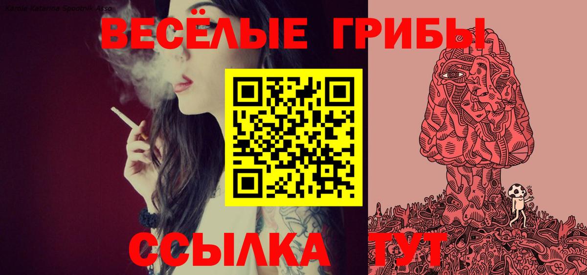 Галлюциногенные грибы Psilocybe  Галлюциногенные грибы прущие грибы  Североуральск 