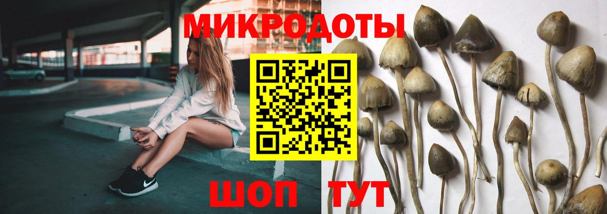 Галлюциногенные грибы MAGIC MUSHROOMS Североуральск