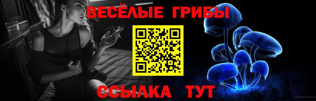 Галлюциногенные грибы прущие грибы  Псилоцибиновые грибы ЛСД  Североуральск  Вход с VPN 